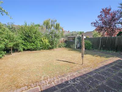 Picture 15